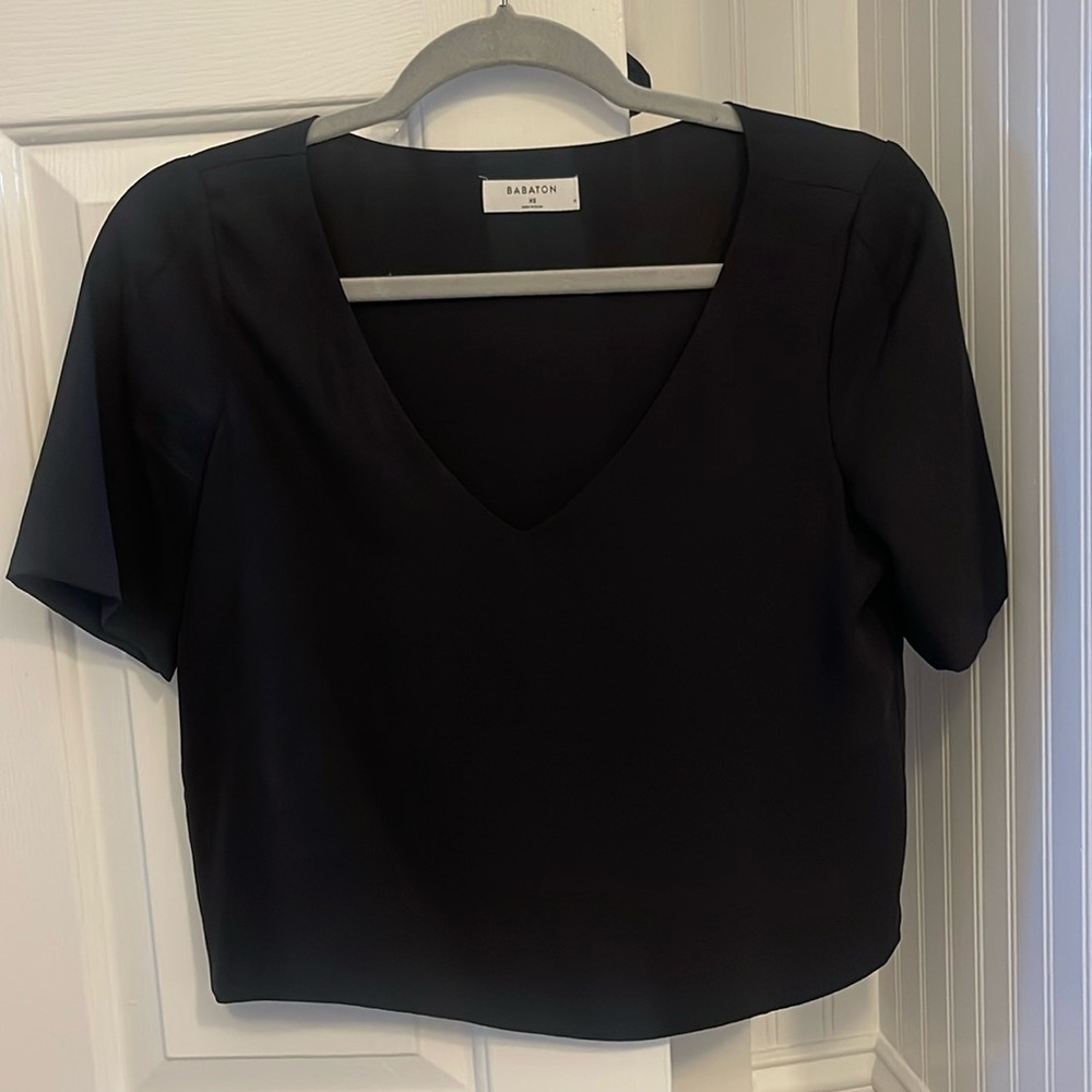 Aritzia Babaton blouse